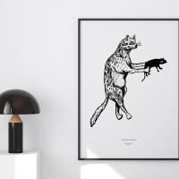obraz fotka print debaluga funny animals