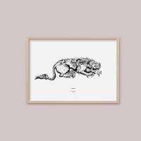 funny animals lion